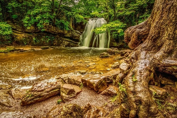 waterfall, nature, landscape, stream, leaf, wood, tree, water
