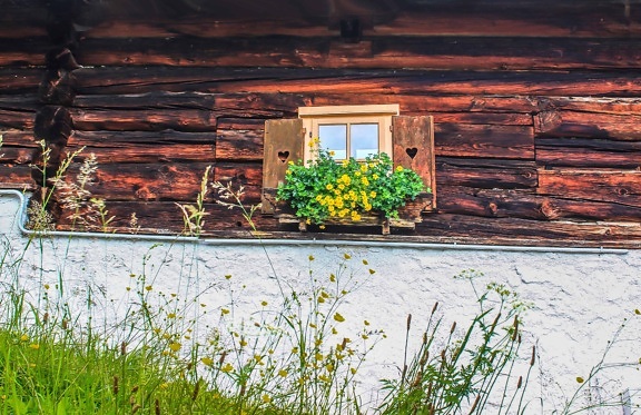wood, house, flower, architecture, grass