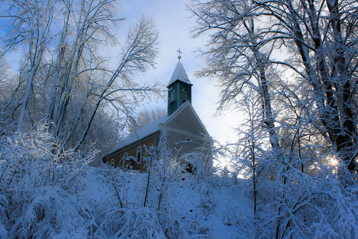 strom, krajina, kostol, mráz, pobočky, sneh, studenej zime, mrazené,