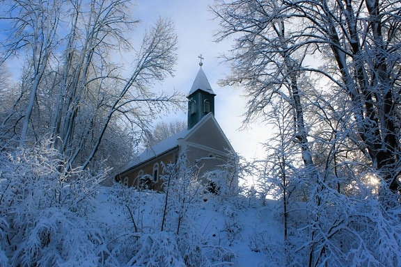 tree, landscape, church, frost, branch, snow, winter, frozen, cold