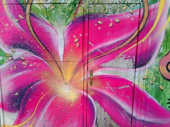 Graffiti, puerta, colorido, naturaleza, flor, planta, hierba