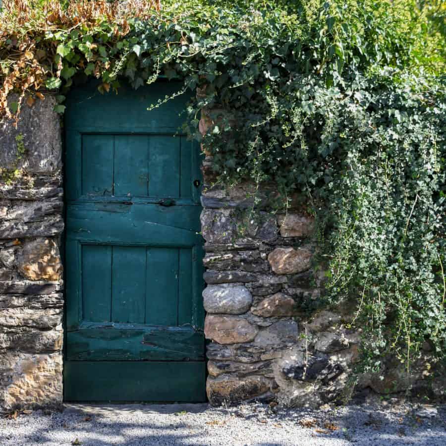 πόρτα, παλιά, ξύλινα, σπίτι, Υπαίθριος, φυτό