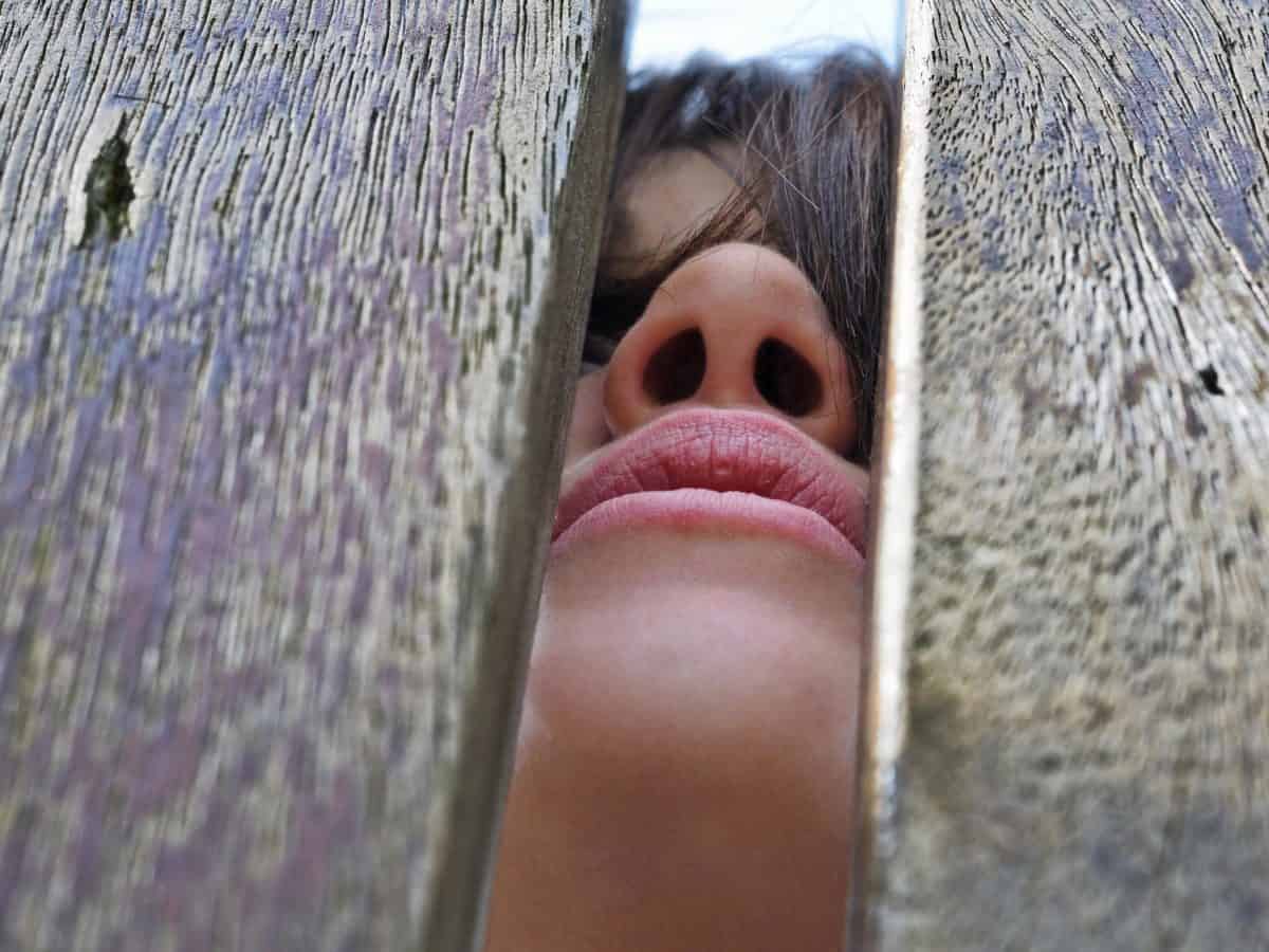 woman, portrait, girl, fence, tree, hair, lips, nose