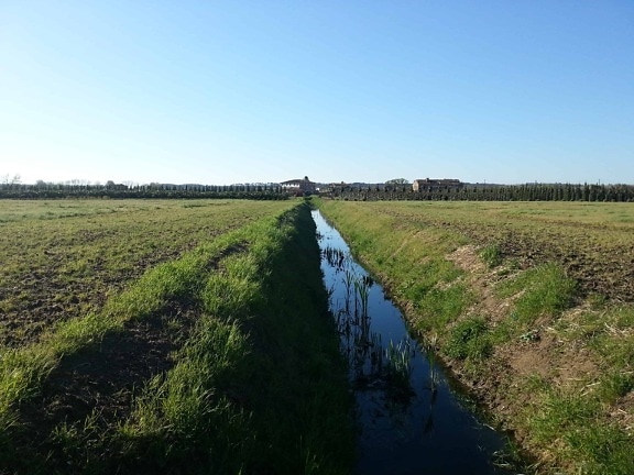 irrigation, canal, nature, grass, sky, field, agriculture, landscape