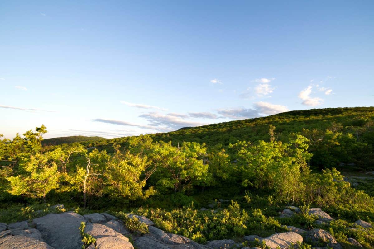 paisagem, natureza, céu azul, planta, ao ar livre, Parque Nacional, pedra
