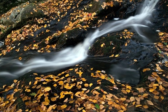 joen vesi, vesiputous, luonto, lehtiä, stream, kivi