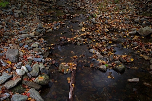 příroda, listy, voda, podzim, stín, řeka, venkovní