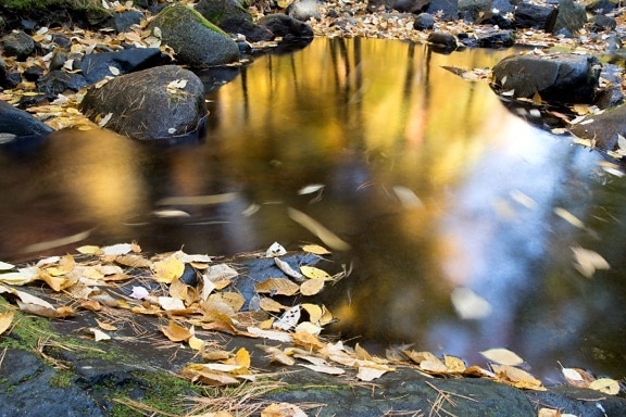 поток, природа, отражение, река, вода, есен