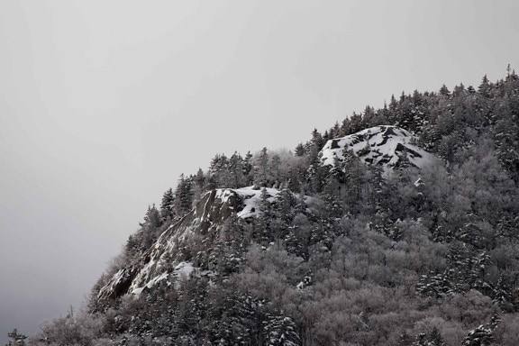 пейзаж, планина, дърво, дърво, мъгла, сняг, студ, зима
