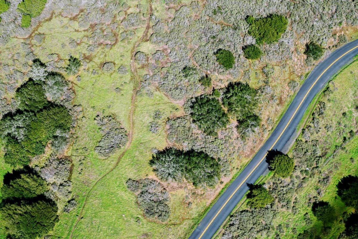 silniční, krajina, strom, vzdálenost, výhled, příroda
