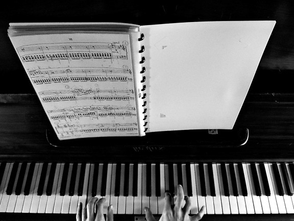 ขาวดำ เครื่องดนตรี เครื่องสังเคราะห์เสียง คอร์ด เปียโน เพลง อนาล็อก มือ