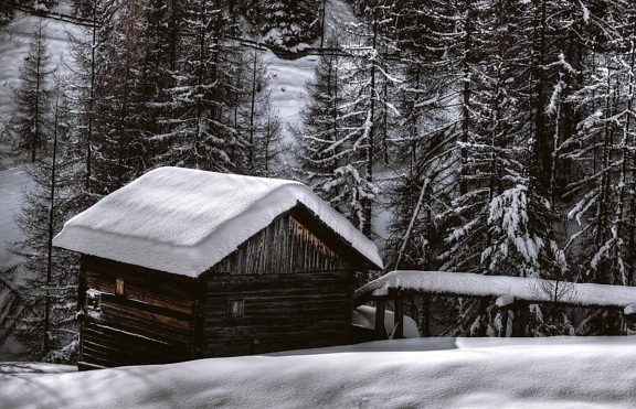 bungalov, drvo, hladno, drvo, Mraz, zima, snijeg, štali, struktura, vanjski