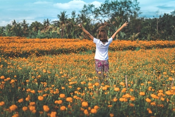 молода жінка Луговий квітка, небо, поле, літо, луг, соняшник, трава, радість
