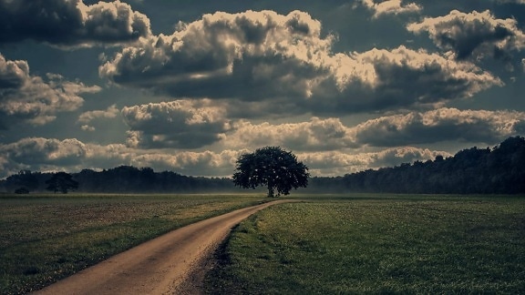 Road, đám mây, nông nghiệp, phong cảnh, hoàng hôn, thiên nhiên, nông thôn, trên bầu trời, cây