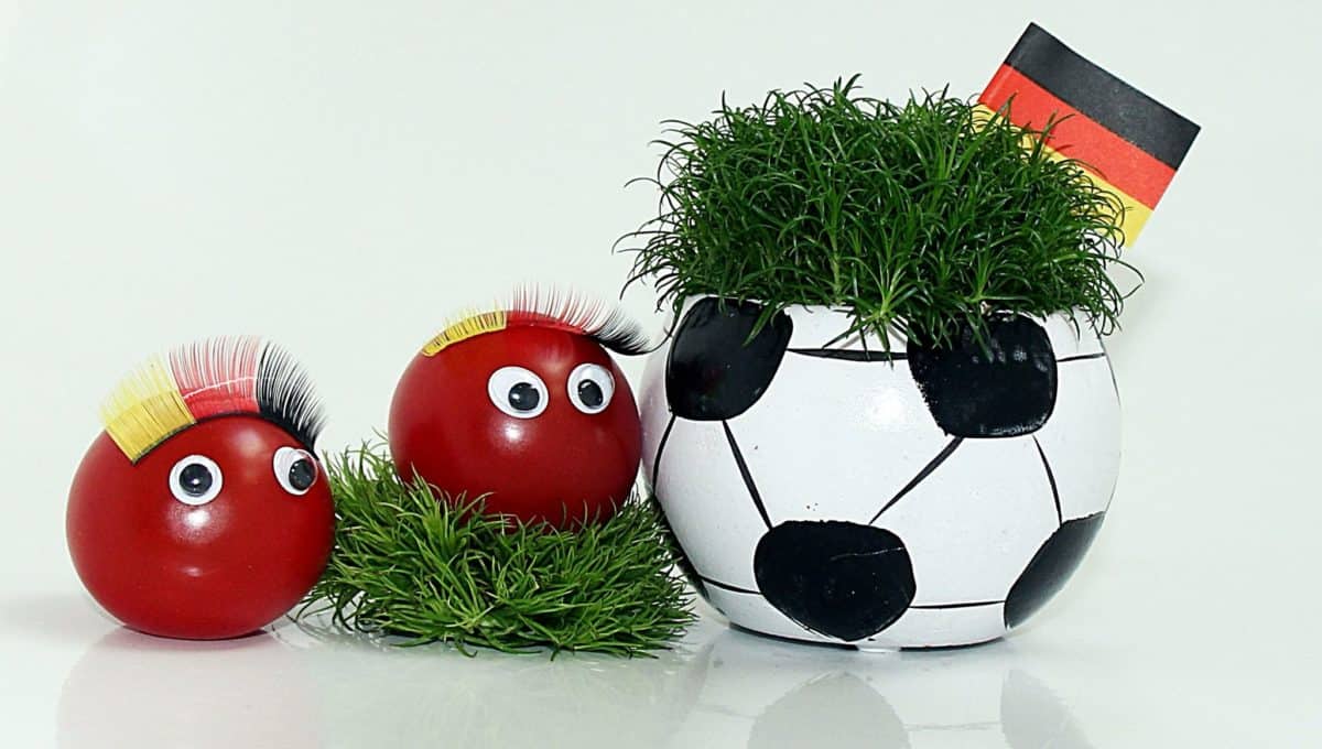 vegetabilsk, stadig liv, græs, flag, fodbold, dekoration