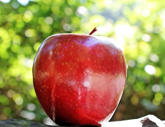 Еда, красное яблоко, питание, фрукты, вкусные, дерево., огород, летнее