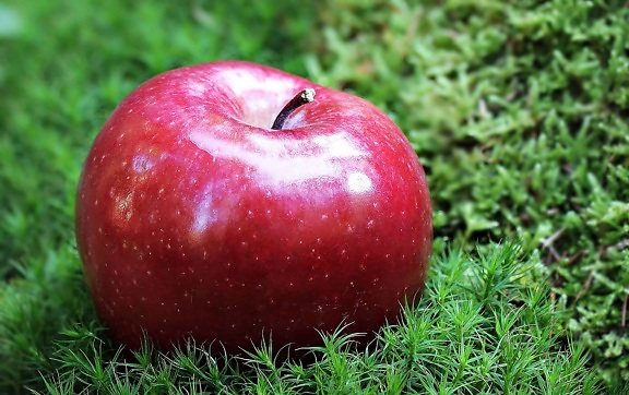 фрукты, еда, красный яблоко, вкусные, сладкие, диеты, питание, Грен трава