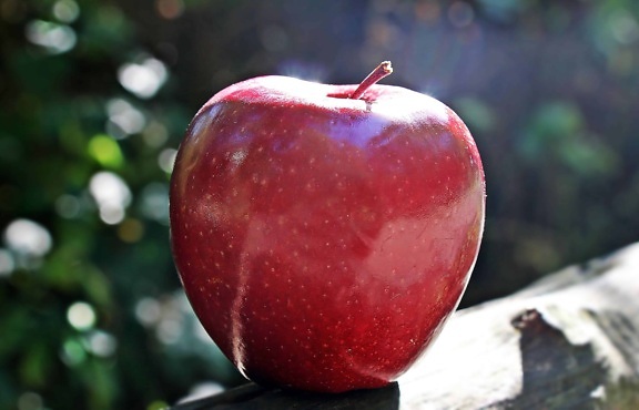 fruit, food, red apple, daylight, sunshine, outdoor, tree, still life, nutrition