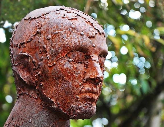 bronze, statue, hoved, mand, træ, mennesker, udendørs, art, skulptur