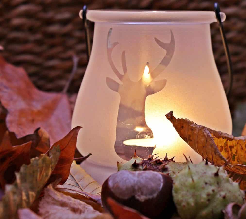 Натюрморт, листья, осень, свеча, стекло, украшения, каштан