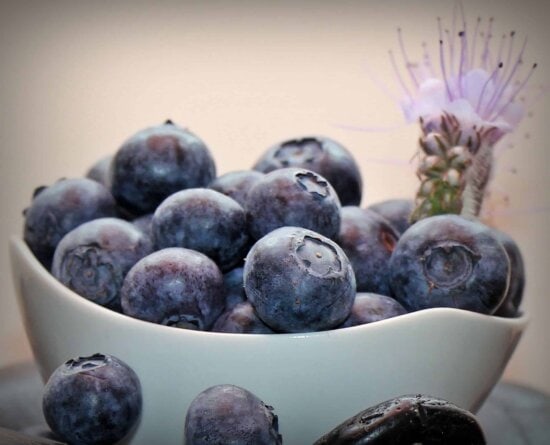 Blueberry, bát, trang trí, vẫn còn sống, thực phẩm, dinh dưỡng hữu cơ, trái cây,