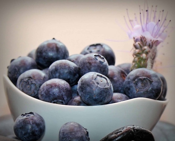 blueberry, bowl, decoration, still life, food, fruit, organic, nutrition