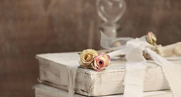 Натюрморт, декорация, роза, обект, цвете, венчелистче, пъпка, книга