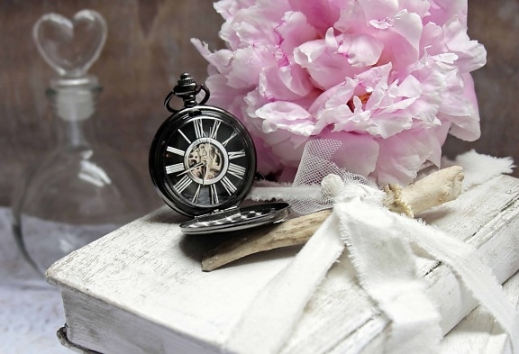 still life, flower, petal, clock, book, decoration
