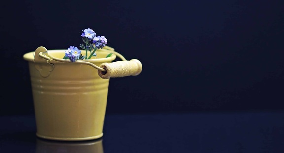 still life, bucket, metal, flowers, decoration, blue, petal