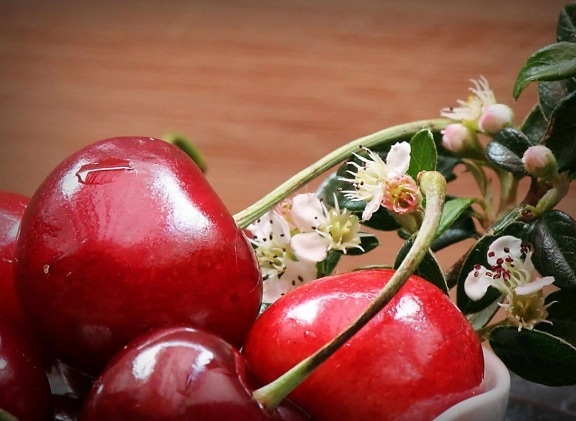 flor, hoja, cereza, fruta, dieta, orgánico, flor, primavera