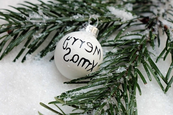dekoration, grantræ, sne, vinter, ferie, træ