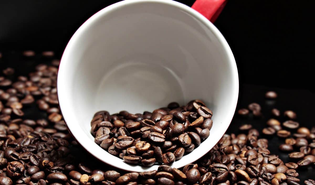 koffein, kaffe kopp, espresso, mörk, dryck
