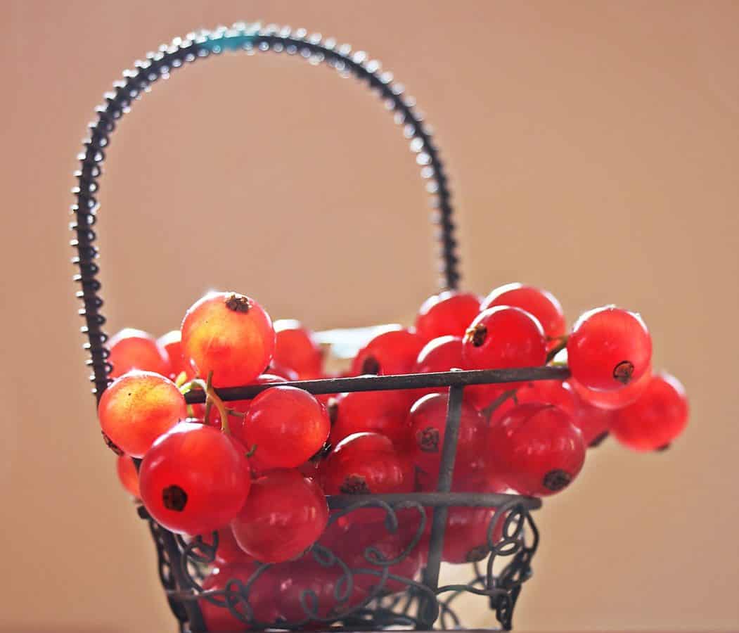 Натюрморт ягода фрукти, смородина, кошик, органічних