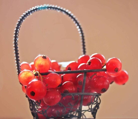 still life, berry, fruit, currant, basket, organic