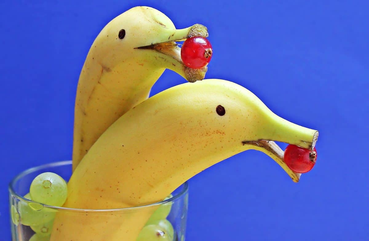 Free picture: glass, decoration, food, banana, fruit, art, dolphin, currant