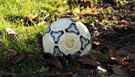 Футбольный мяч, спорт, зеленая трава, землю, оборудование, игра
