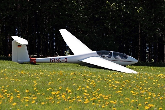 aeroplano, aircraft, meadow, grass, dandelion, plane, glider, forest