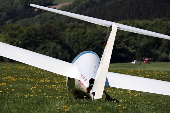 airplane, glider, vehicle, rudder, plane, grass, meadow
