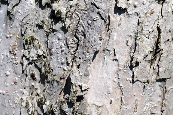 old, abstract, bark, pattern, texture, material, surface