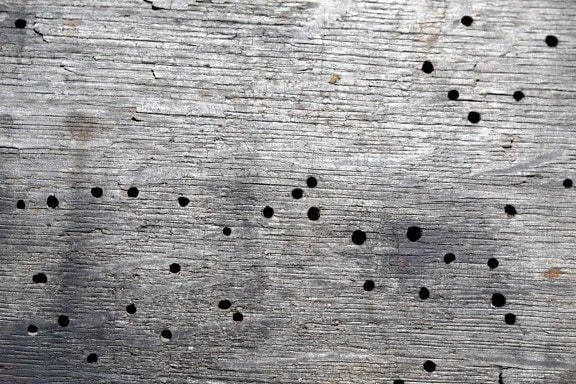 texture, pattern, retro, old, wooden, wall, hole