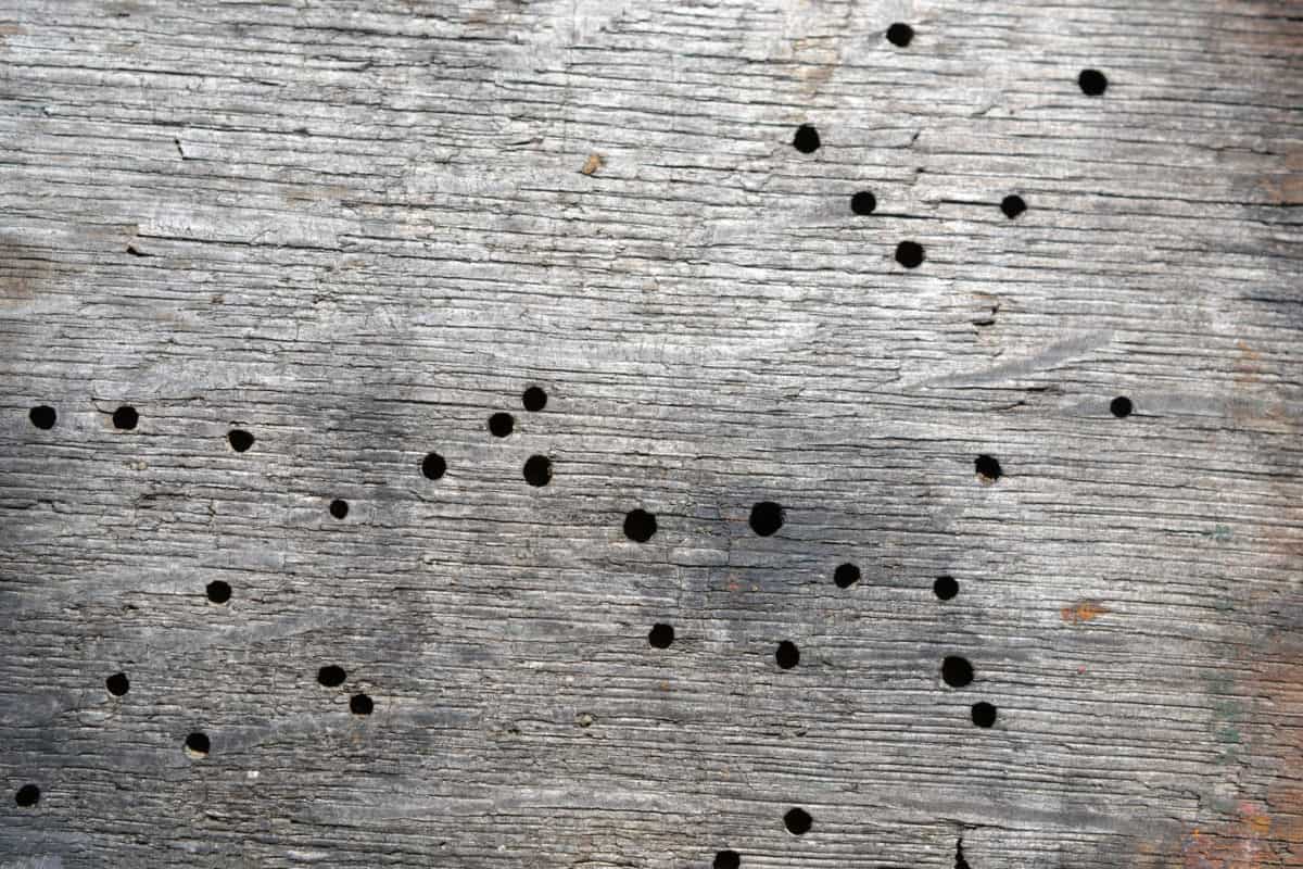 wall, old, retro, pattern, texture, surface, hole
