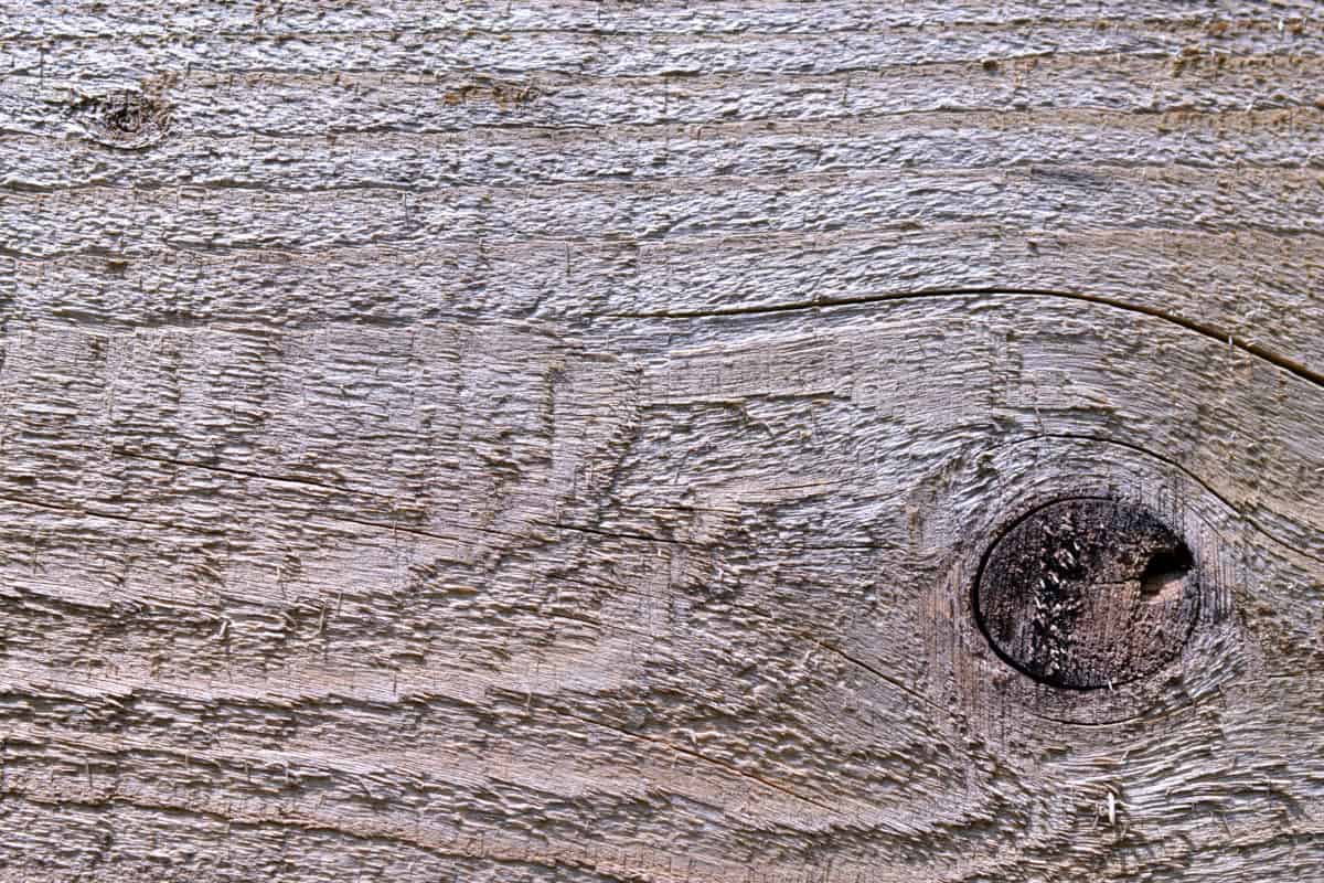 houten knoop, patroon, hout, design, houten, muur, textuur, oude