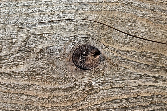nudo de madera, patrón, edad, textura, madera dura, roble