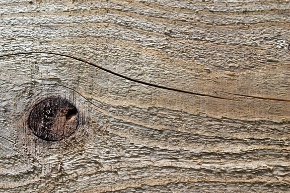 nudo de madera, madera, textura, patrón de madera, viejo,