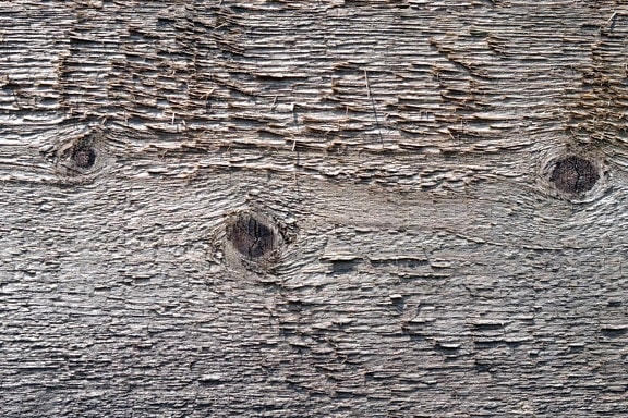 teksture, uzorak, drvo čvor, Pilana, materijal, površine, materijal