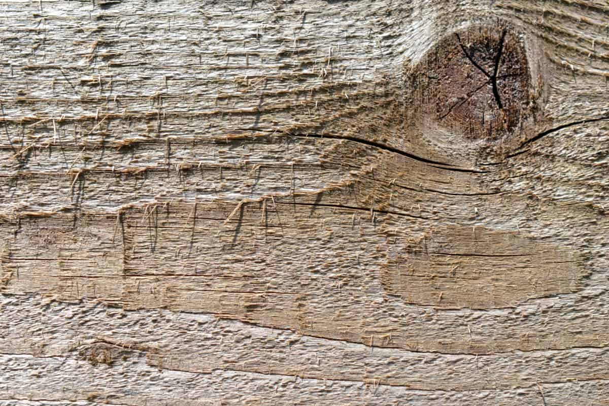 trä planka trä Knut, gammal, design, abstrakt, mönster, brun, yta