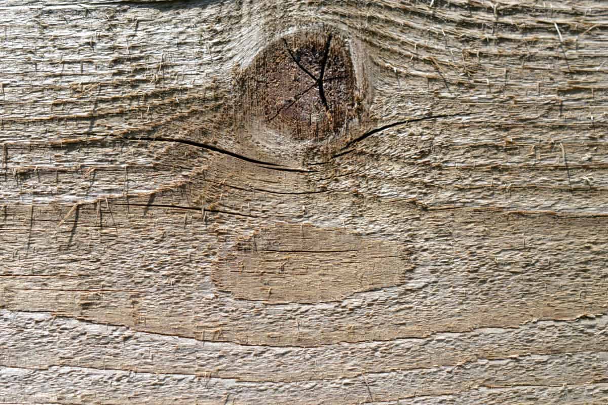 træ knude, detaljer, design, mønster, gamle, tekstur, træ planke
