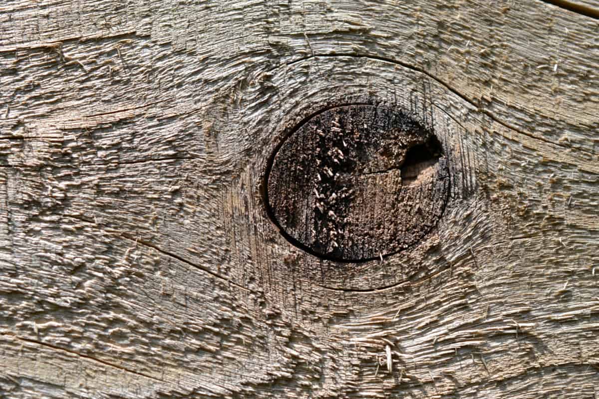 conoscere, legno, muro, albero, legname, texture, pattern, vecchio