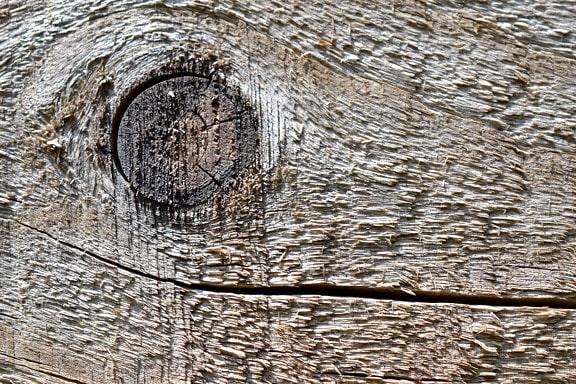nó de madeira marrom, textura, padrão abstrato, madeira, retrô, de madeira, velha,
