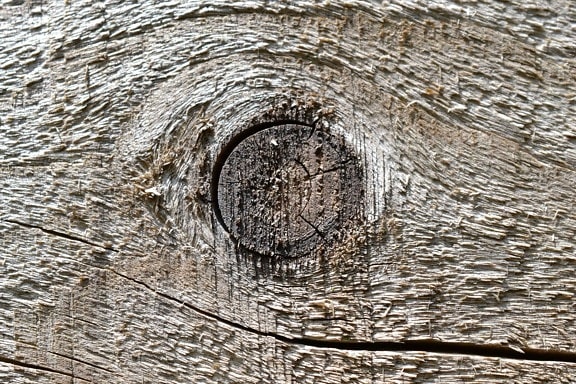 Material, Detail, Holzbohle, Struktur, Natur, Muster, Holz Knoten